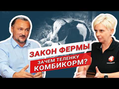 Видео: Как вырастить здоровый молодняк КРС? | Комбикорм для теленка | Схемы выпойки | Кормление телят