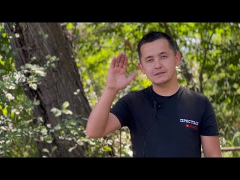 Видео: МАКСИМУС - ЦЕФИРУС жалғасы II бөлім #перекупщик #алматы #almaty #nissan #cefiro #maxima