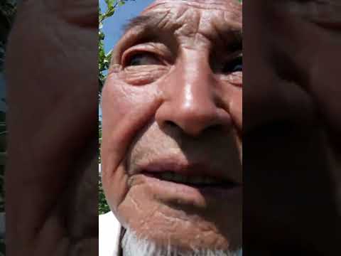 Видео: 16 июня 2025 г.