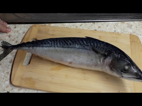 Видео: Строганина из скумбрии.