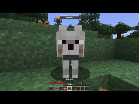 Видео: Ивент в Майнкрафте с призом!