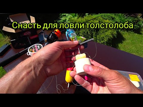 Видео: Толстолоба поймать просто! Как всё работает. Расскажу и покажу в этом видео.