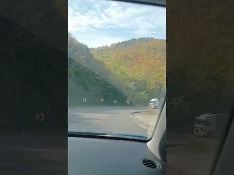 Видео: #българия #travel #bulgaria #nature #automobile #flowers