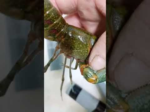 Видео: 14 декабря 2022 г.