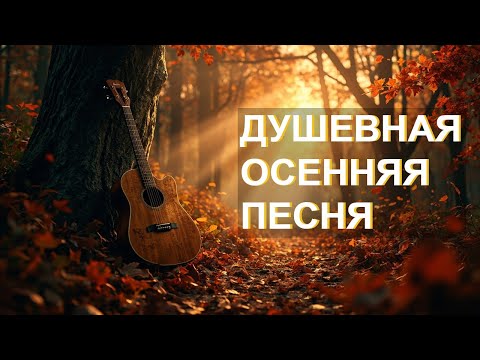 Видео: Я брожу по осенним улицам🍂 | Авторская песня под гитару | Лирика, осень