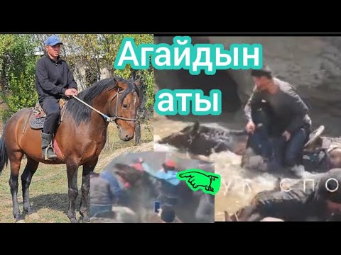 Видео: Агайдын аты