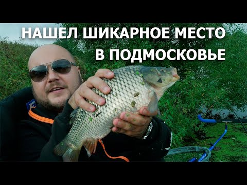 Видео: Килограммы карпа в 15 минутах от Москвы. Пахра 2020.