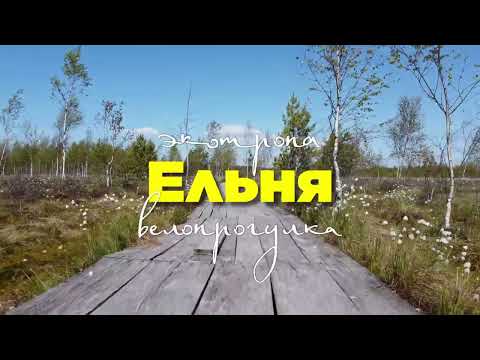 Видео: Ельня