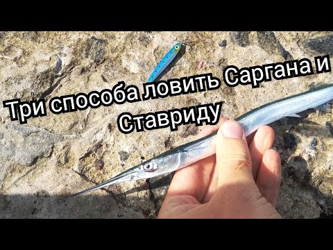 Видео: Ловим Саргана и ставриду на Черном море.