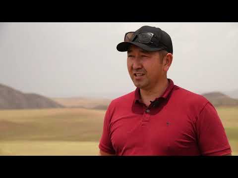 Видео: Петроглифы Архарлы