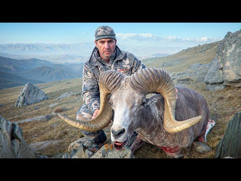 Видео: Трофейная_охота_в_Монголии_3._Алтайский_аргали,_Гоби