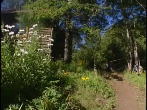 Видео: Чили. Золотой глобус - 40