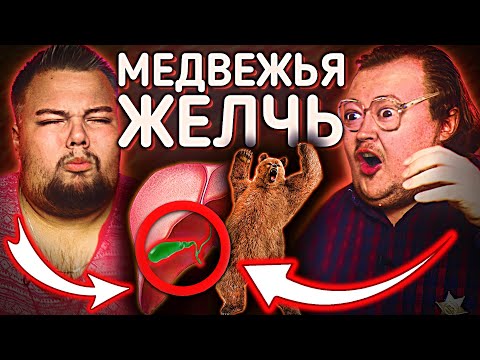 Видео: МЕДВЕЖЬЯ ЖЕЛЧЬ