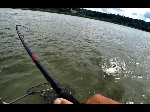 Видео: НАШЛИ КОРЯЖНИК ЗАБИТЫЙ РЫБОЙ!! РЫбалка на Алтае , джиг. ЩУКИ,СУДАКИ,ОКУНИ!!