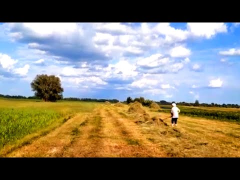 Видео: Сенокос и в лес за ягодами | Живу одна на краю села. Реальная жизнь в забытой деревне.