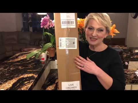 Видео: Новые - старые орхидеи в коллекции. Дендробиум, психопсис, целогина кристата. Попытка номер два ❤️😁
