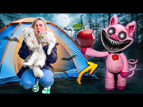 Видео: PICKY PIGGY В РЕАЛЬНОЙ ЖИЗНИ В НАШЕЙ ПАЛАТКЕ С КОТАМИ И СОБАКОЙ | ДЕНЬ РОЖДЕНИЯ СЛАДУНА