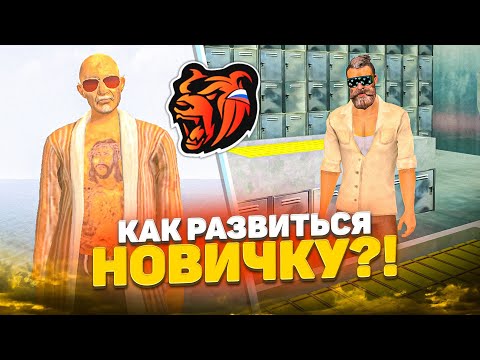 Видео: КАК ПОДНЯТЬСЯ НОВИЧКУ в БЛЕК РАША! КАК ЗАРАБОТАТЬ ДЕНЕГ на BLACK RUSSIA!