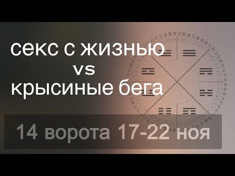 Видео: Деньги, энергия, творчество. 17-22 ноября. 14 ворота дизайн человека