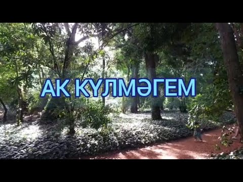 Видео: Ак күлмәгем/Син дә  мине сөярсең.../Ты полюбишь меня...