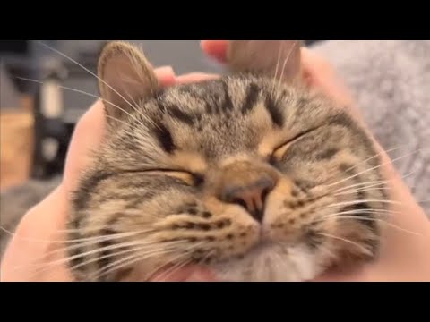 Видео: This is real love! / Настоящая любовь!
