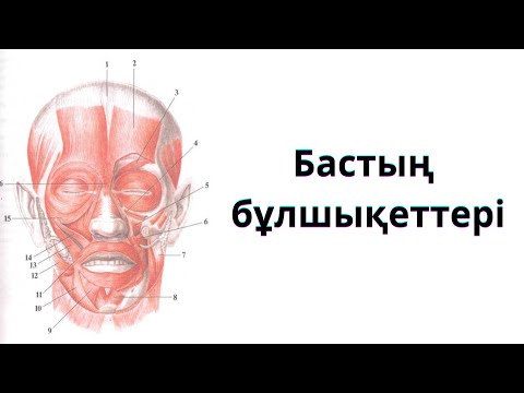 Видео: БАС БҰЛШЫҚЕТТЕРІ.