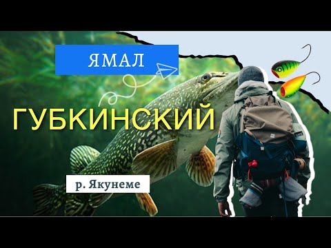 Видео: За щукой летом. ГУБКИНСКИЙ. ЯМАЛ