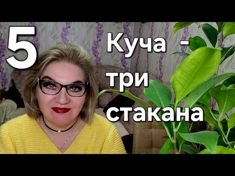 Видео: Куча  - три стакана ❗️