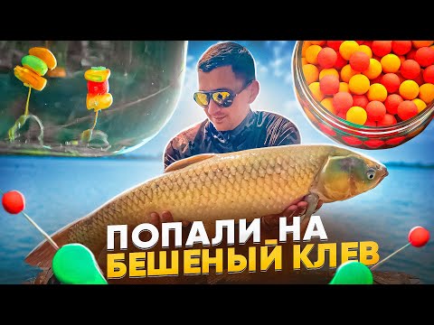 Видео: КУКУРУЗА ИЛИ ВАФТЕРСЫ? КАК ПОЙМАТЬ КАРПА В ЖАРУ. ПОПАЛИ НА РАЗДАЧУ . Вот это клев