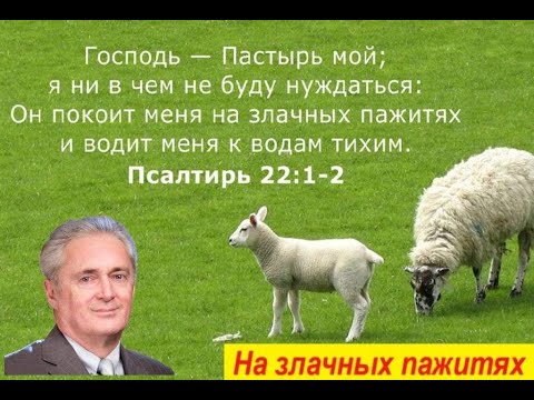 Видео: На злачных пажитях