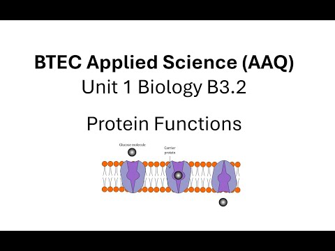 Видео: BTEC Прикладная наука AAQ Модуль 1 Биология 3.2 Функции белков