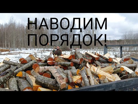 Видео: Очищаем заросшее поле // Важные покупки // Первые окролы // В поиске барашка