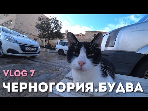 Видео: Будва - самый русскоязычный город Черногории. Что там делать?