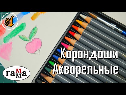 Видео: Акварельные карандаши 12 штук (Гамма)