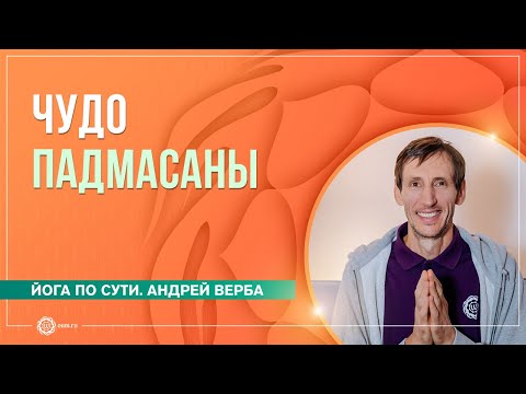 Видео: Чудо падмасаны. Ответы на вопросы. Часть 2. Андрей Верба