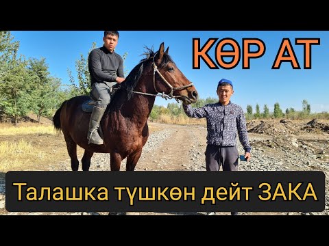 Видео: ЗАКА 😱 МЕССИ ТАЛАШКА ТҮШКӨН ДЕЙТ👆 КӨР АТ