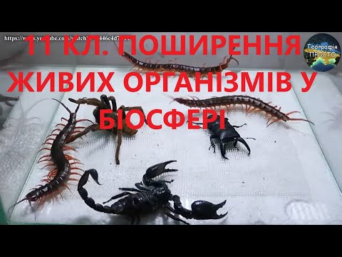 Видео: Географія.11 кл.Урок 17.Поширення живих організмів у біосфері