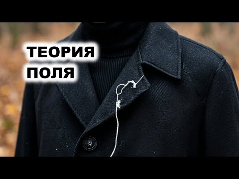 Видео: 04.5. Теория поля (К. Левин)