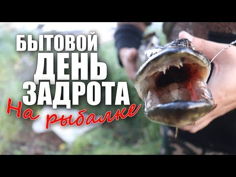 Видео: БЫТОВОЙ ДЕНЬ ЗАДРОТА НА РЫБАЛКЕ (18+)