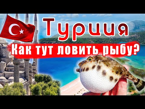 Видео: Морская рыбалка с берега | Рыбалка в Турции | Рыбалка 2022