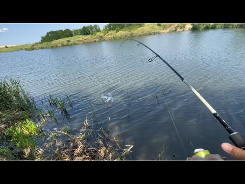 Видео: ЩУКИ РАЗРЫВАЮТ РАТТЛИН MEGABASS🔥