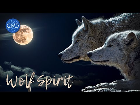 Видео: "Wolf Spirit" - шаманская исцеляющая музыка 432 Гц (шаманская музыка барабанов)