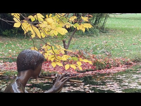 Видео: Упражнение-медитация "Полный покой".Exercise-meditation "Complete peace"