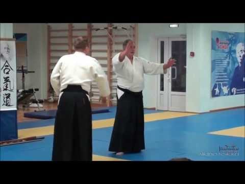 Видео: Найдов-Железов О.К. Семинар Айкидо, работа над ошибками.