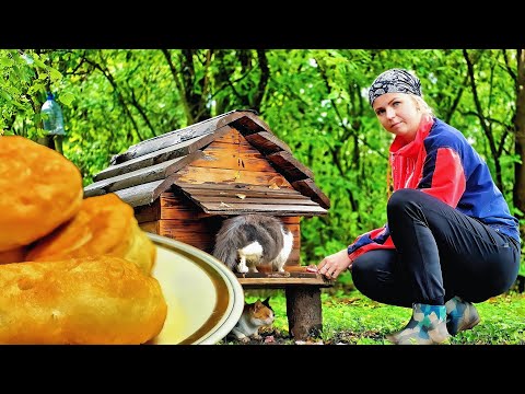 Видео: На хуторе появились НЕПОНЯТНЫЕ ЗВУКИ. Готовим ВКУСНЫЕ ПИРОЖКИ с бабушкой! 🍽️✨ Утро из детства!