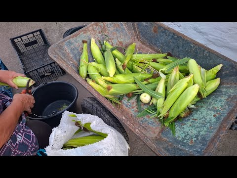 Видео: Що Вигідно вирощувати на Продаж?Досвід 10 років+