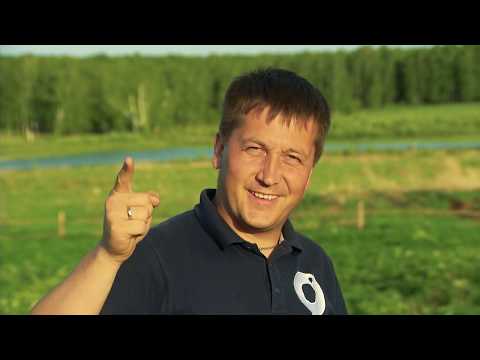 Видео: #ВЕСЕЛОВСЕЛЕ   НЕВЕРОЯТНЫЙ ТОГУЧИНСКИЙ РАЙОН!