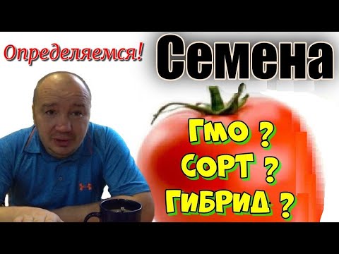 Видео: Гибриды, сорта и ГМО? Расставляем по полочкам.