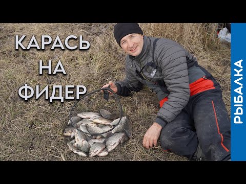 Видео: Не рыбалка а сказка! Наловили карасей на фидер