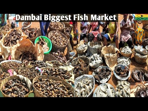 Видео: Крупнейший сельский рынок в Африке, Гана#ruralliving#africa#ghana#rural#fish #local